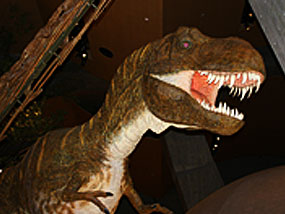 イメージ：群馬県立自然史博物館