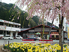 Images：Shimonita Konjac Tourist Center