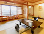 Japanese Room, 10 tatami+